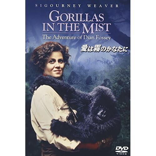 愛は霧のかなたに