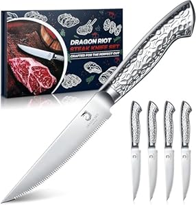 DRAGON RIOT Steakmesser-Set, 4-teiliges Steakbesteck mit Sägezahnklingen aus japanischem Edelstahl, spülmaschinengeeignet inklusive Aufbewahrungsbox
