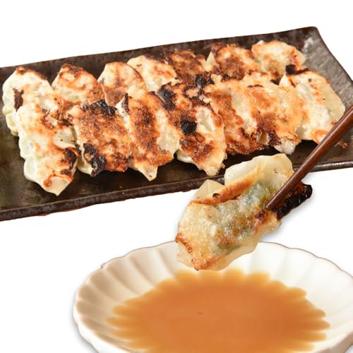 [定期便]一口餃子 タレ付 100個×4回 3か月に1回お届け 国富町 宮崎餃子 おつまみ おかず ギフト 贈答用 父の日[冷凍]