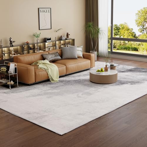 Alfombras Salon Modernas Gris Claro Marca Vamcheer