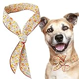 Material cómodo: la razón por la que las mascotas pueden llevar una bufanda refrescante para mascotas sin carga es que es muy ligera. Todos los acabados son seguros y ecológicos y cuentan con la tela fresca de una toalla fría que no es pegajosa y cómoda de llevar.