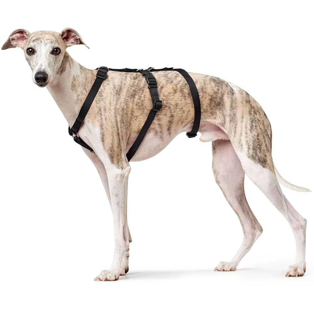 Hunter Vario Rapid - Imbracatura anti-panico per cani in nylon aderente, resistente agli strappi