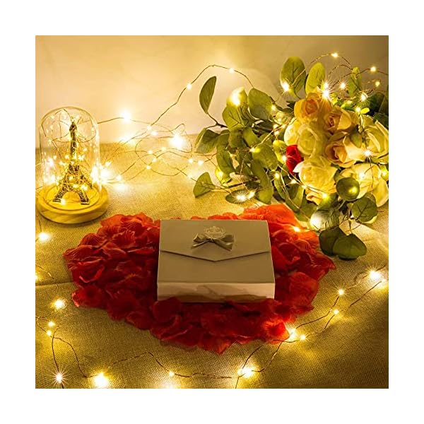 Jmexsuss copper string lights - image 8