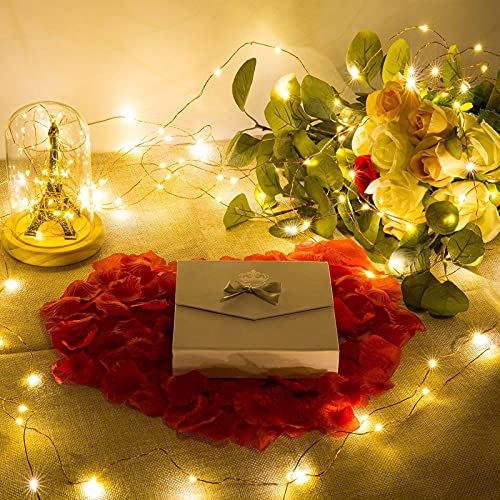 Jmexsuss copper string lights 7 Jmexsuss copper string lights - image 8