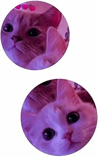 ANIME friends cat badge bag brooch pin 67