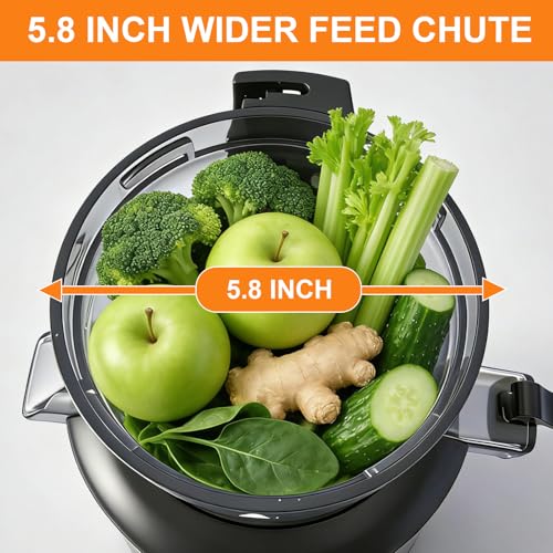 Vertical Masticating Juicer Machine