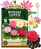TLSSCO 15 Lotus Seeds for Planting, Pack for 2027 USA Premium Non-GMO Seeds - Pink, Red & Green Color, Beautiful Water Plants for Indoor Bonsai, Outdoor Ponds and Gardens