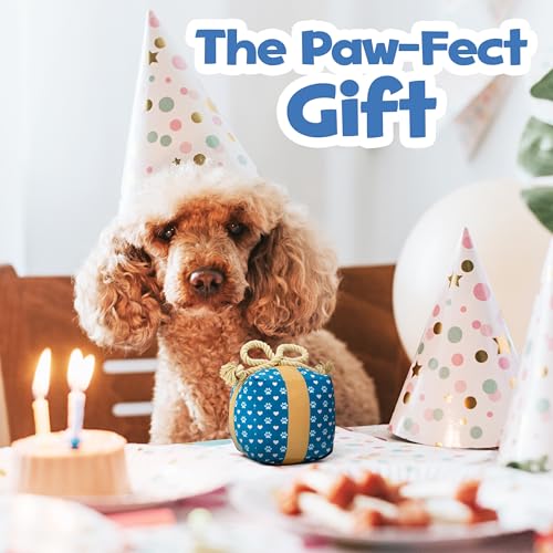 PUPROAR Set de Juguetes para Perros con Sonido y Peluche miniatura 7
