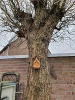 BTMIEY Fa Ölelő Öreg Ember Madáretető - Kültéri és Beltéri Műgyanta Kerti Dekoráció, Egyedi Vicces Fa Díszítő Figura, Könnyen Rögzíthető 4