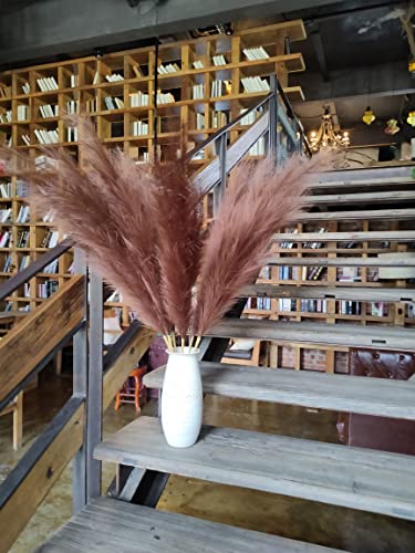 Pampas Grass Decor Tall,Large Pampas Floral Fluffy,Long Feather Flowers for Boho Wedding Arangement Bedroom Living Room Decorations (brown - Image 2