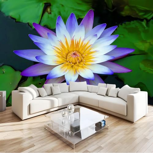 【Regalo Ideale e Decorazione Versatile】: Un'ottima idea regalo per l'inaugurazione della casa o per rinnovare la cameretta dei ragazzi. Questo fotomurale è la soluzione perfetta per decorare la sala da pranzo, la camera da letto o la parete TV, aggiungendo un tocco unico e accogliente alla vostra casa.