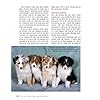 Ultimate Guide to Australian Shepherd Dogs: Origins, Care, Training, Health