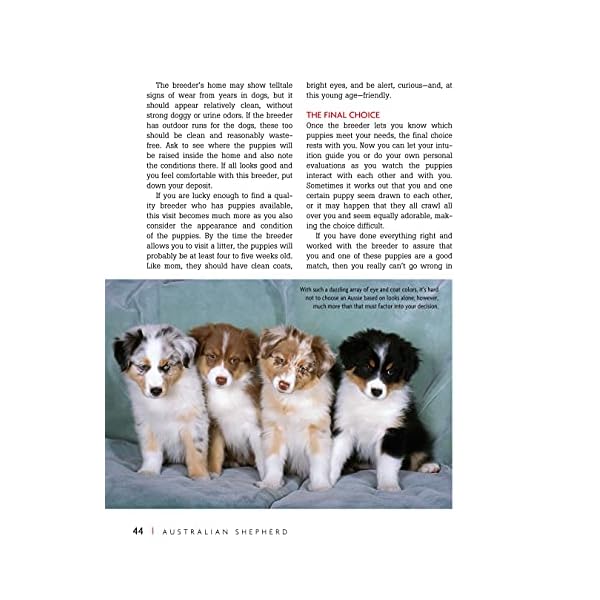 Ultimate Guide to Australian Shepherd Dogs: Origins, Care, Training, Health