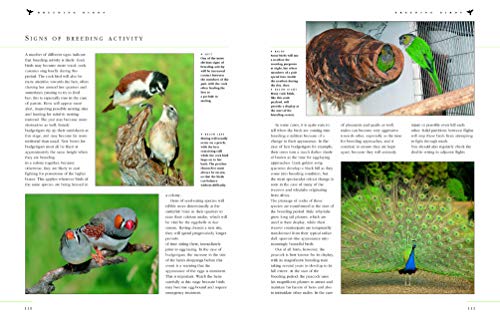 The Complete Practical Guide To Pet And Aviary Birds: How To Keep Pet Birds: With Expert Advice On Buying, Housing, Feeding, Handling, Breeding And Exhibiting #TOP4