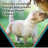 VICTOR Classic - Hi-Pro Plus Large Breed Puppy, 30-lb