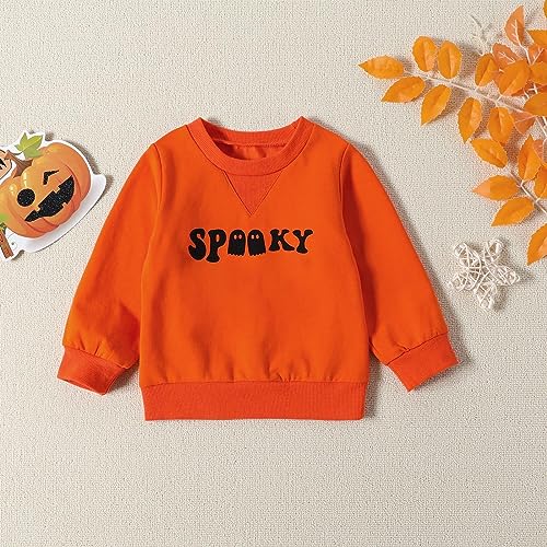 Toddler Boys Pullover Long Sleeve Letter Print Sweatshirt And Solid Color Shorts For Boys Fall Designer Kids4