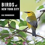 Birds of New York City