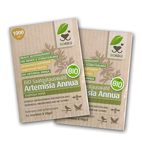 Artemisia Annua Saatgut in Bioqualität aus Demeter Anbau (2000 Korn)