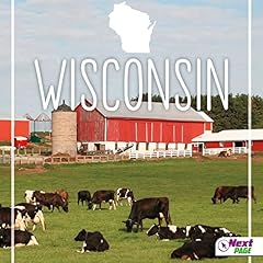 Wisconsin Audiolibro Por Bridget Parker arte de portada