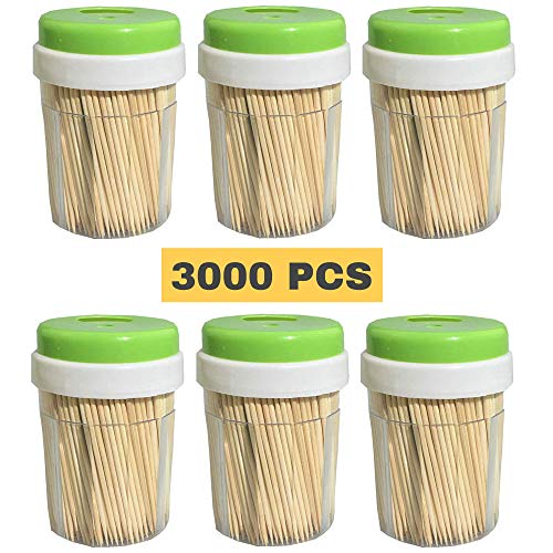 Bamboo Wooden Toothpicks (3000 Bulk Pack) - Round, Strong, Splinter-Free for Teeth