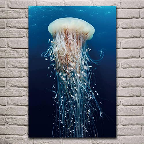 Poster méduse océan pour rafraîchir un mur sans cadre 30x45