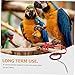 Yardwe Parrot Harness Bird Leash Pet Birds Harness Birds Walking Harness Parrot Accessories Adjustable Size Xs Random