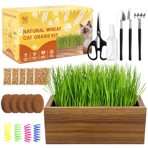 Cat Grass Kit with Wooden Planter