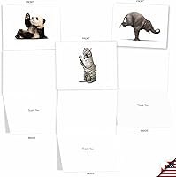 Vista 4 de The Best Card Company - 10 notas de agradecimiento en caja con sobres, varios artículos de papelería para decir gracias para hombres y mujeres - Zoo