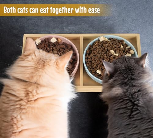 Katzennapf Flach Keramik mit Holzständer, Erhöhte Futterstation Tisch mit 2 Keramiknäpfe, Futternapf Katze Schalen-Durchmesser 16 cm