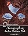 Collier's Guide to Photographing Arches National Park