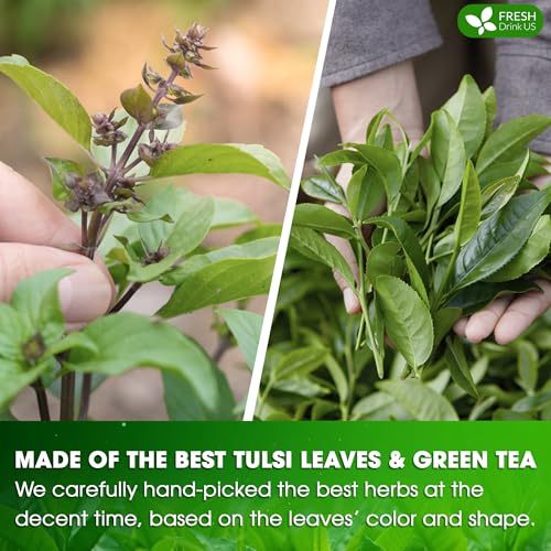 Image of FreshDrinkUS, Premium 75 Tulsi Green Tea Bags, 100% Natural, Blend of Tulsi Holy Basil Leaves, and Green Tea Leaves. Made with Natural Material Tea Bags. No Sugar, Vegan.