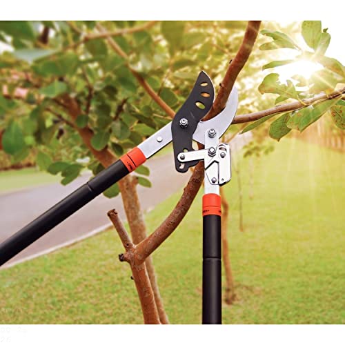 Tramontina Tesourão de Poda Tipo Bypass Cabo Extensível 46.5 a 78 cm