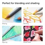 Winsor & Newton Studio Collection Kredki do kolorowania, 48 ołówków z miękkim rdzeniem, wysoka jakość artystyczna, do szkicowania, mieszania, cieniowania i nakładania warstw