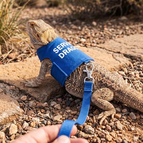 Image of Bearded Dragon Harness and Leash Set - Escape Proof Adjustable Lizard Reptiles Harness with 5 ft Short Leash for Walking Outdoor