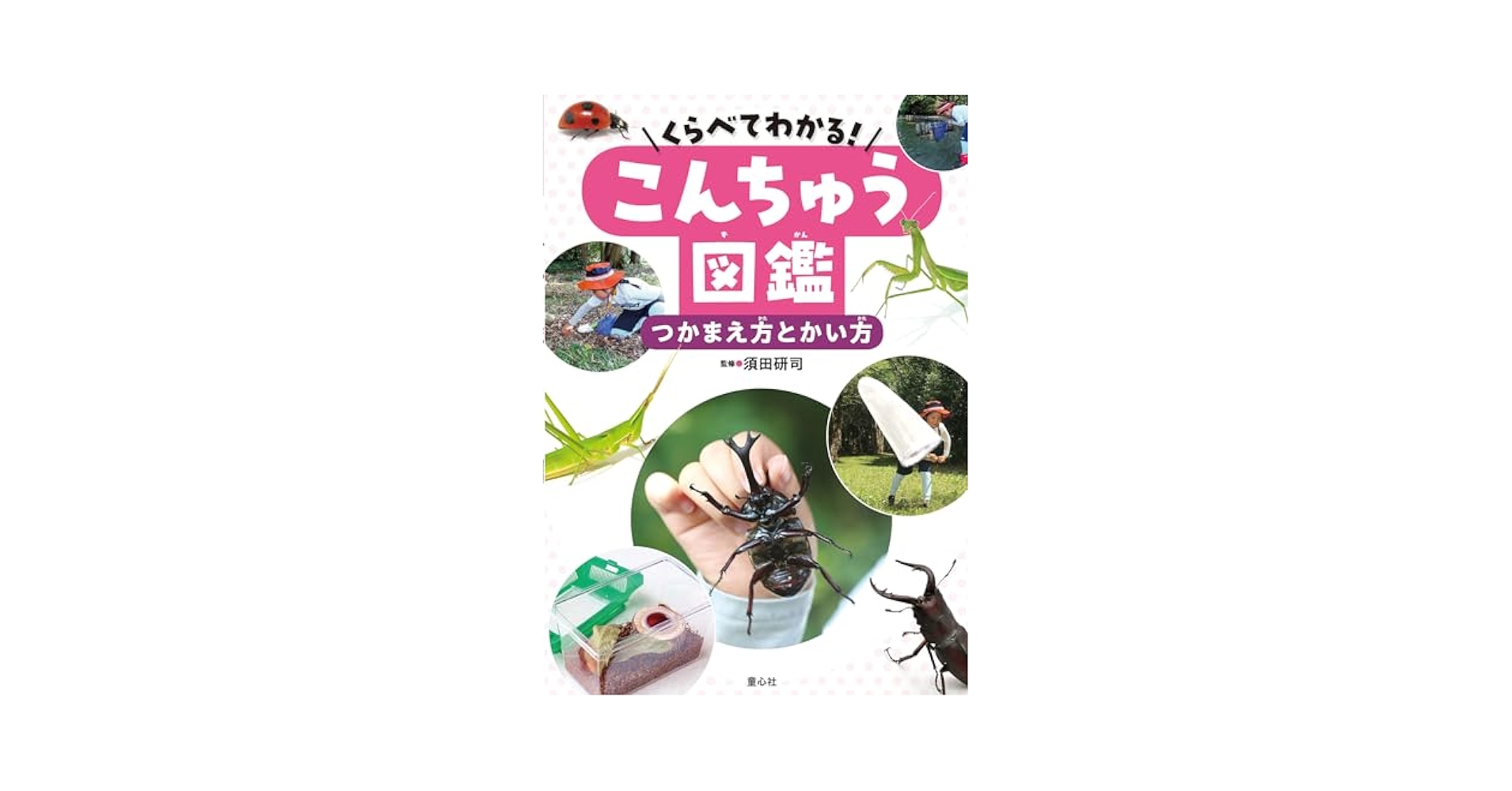 くらべてわかる!こんちゅう図鑑 つかまえ方とかい方 (第1巻