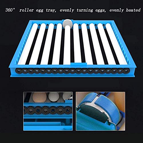 AJLDN Inkubatoren Vollautomatische, 192 Eier Intelligentes Brutmaschine Inkubator Motorbrüter Hühner mit LED… – Bild 6