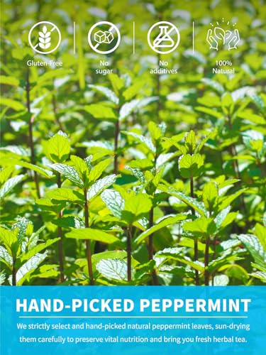Image of TeeLux Peppermint Tea Bags, Natural Peppermint Herbal Tea, Refreshing & Soothing Mint Tea, Caffeine Free, 100 Count