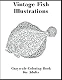  Vintage Fish Illustrations - Grayscale coloring book for adults: 40 grayscale vintage fish illustrations for adults to color