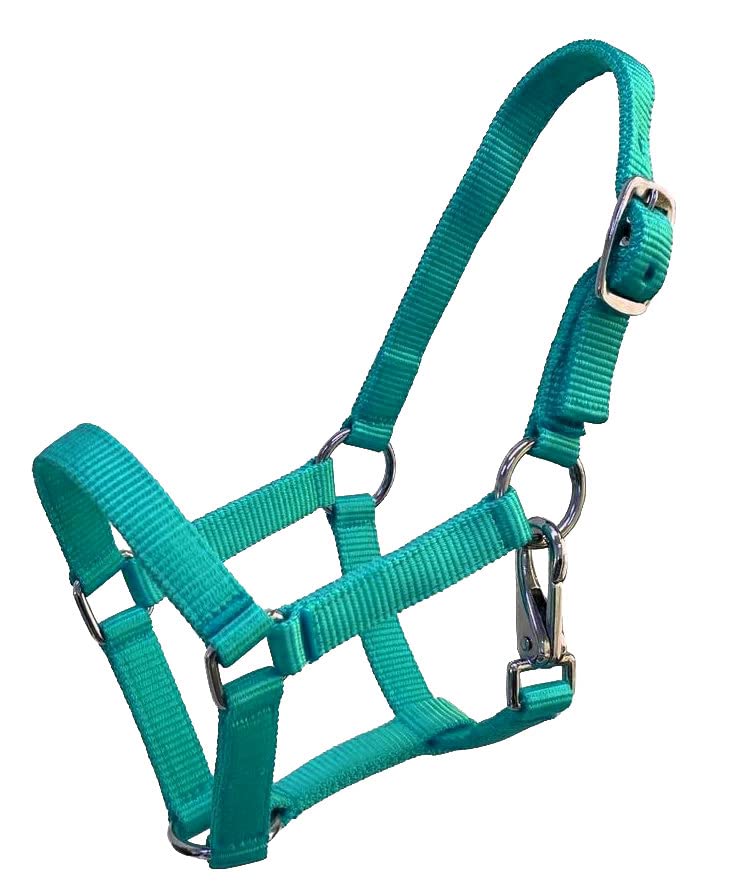 Equitem Nylon Foal Halter (Teal)
