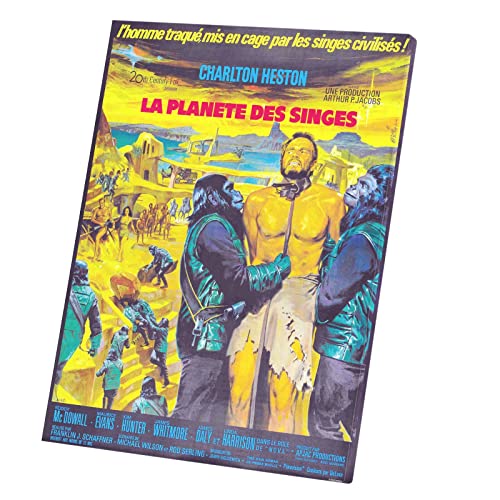 Affiche Planète des Singes vintage tableau souvenir du cinéma rétro français 40x53
