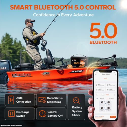Image of Litime 12V 165Ah Group 31 LiFePO4 Lithium Battery for RV Marine Boat(2Pack)