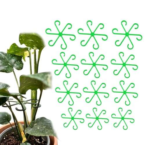 Molyorch 12 pièces Support de Plantes vivaces, Support de Plantes, Pinces à Plantes pour Le Soutien, Support de Plantes grimpantes Monstera, Anneau pour Plantes, Fleurs, hortensias, Roses, tomates