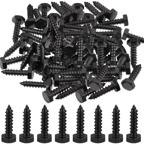 Zonon 100 Pcs 1/4'' X 1" 304 Stainless Steel Lag Screw for Wood, Black