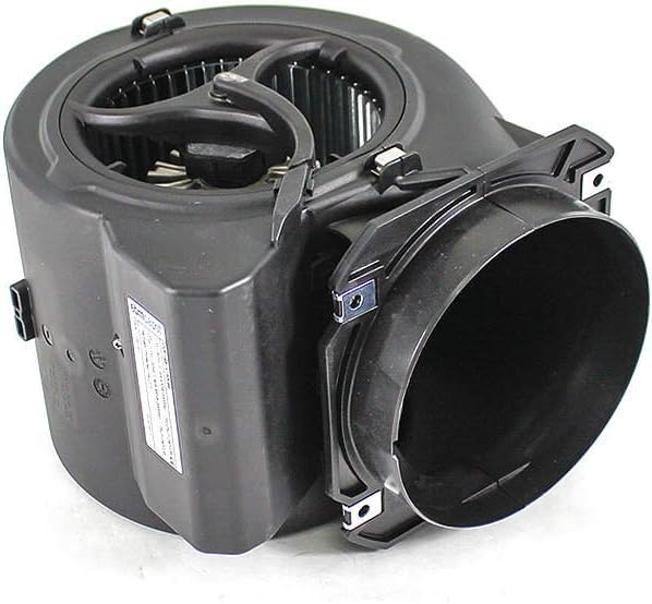 TELEDYNE LAARS Motor, 115V