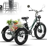 DHsdlpLU 24 Pollici Triciclo Elettrico da Carico Tre Ruote Bicicletta Pneumatici Larghi Display LCD + Faro Anteriore Telaio in Acciaio al Carbonio per impieghi gravosi
