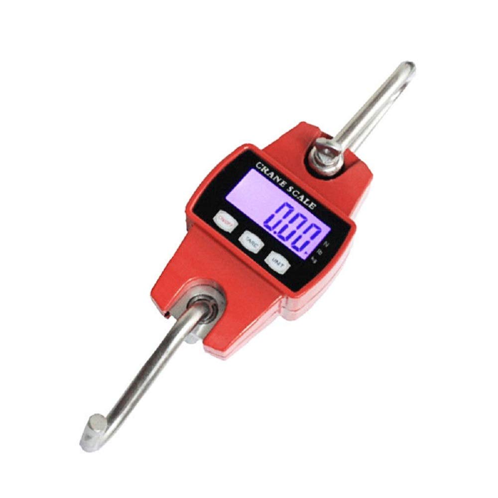 Dynamomètre professionnel numérique 300KG/100g avec affichage LCD