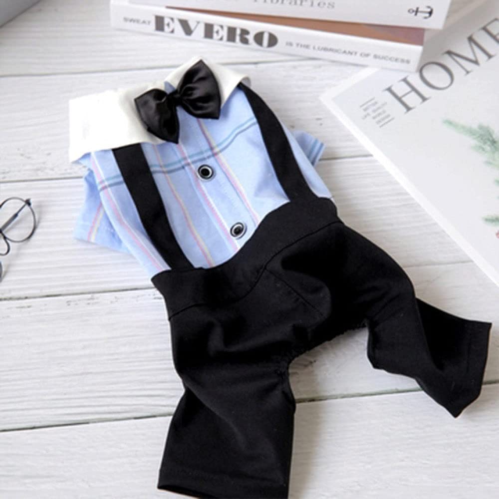 Ropa Bonita para Perros, Camiseta de Ocio para Cachorros, Ropa para Perros pequeños y medianos, Abrigo para Mascotas (Mono Azul XL)