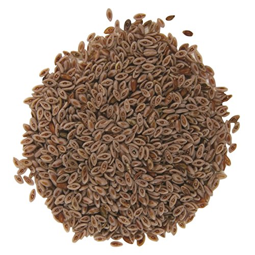 Psyllium Seeds Colon IBS Detox - Natural Fibre Free UK P&P (100g)