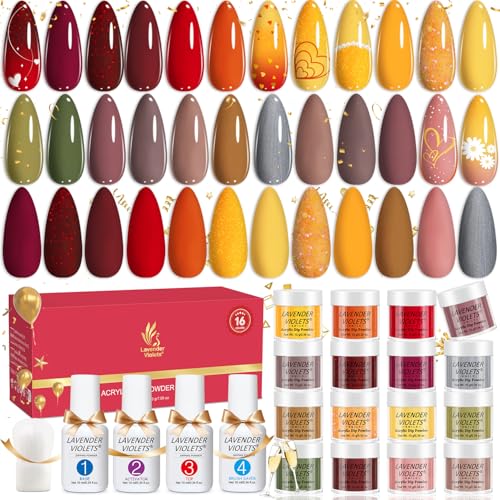 Lavender Violets 22pcs Dip Powder Nail Kit 16 Colors Red Brown Gold Green with Dip Powder Liquid Perfect Gift for Women Nail Art DIY M967