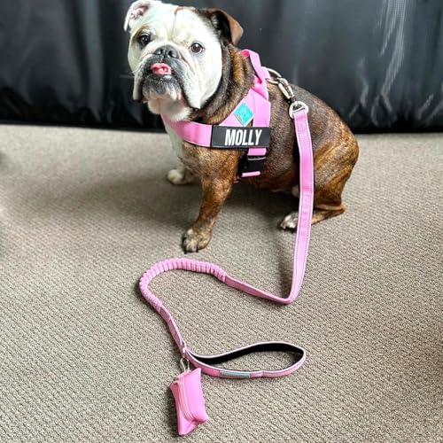 Image of Dog Friendly Co. Poop Bag Holder for Leash, Dog Waste Bag, Premium Burgundy | One Click Clip Potty Carrier Dispenser, Pet Trash Bags, Neoprene Fabric for All Weather Conditions, Stylish Walking Accessory